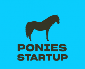 tingkatan perusahaan startup ponies