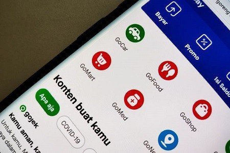 gopay coins