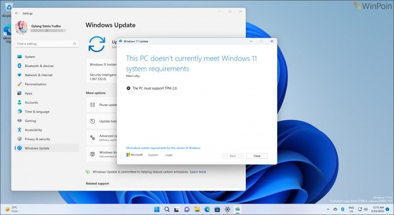 Update Windows 11